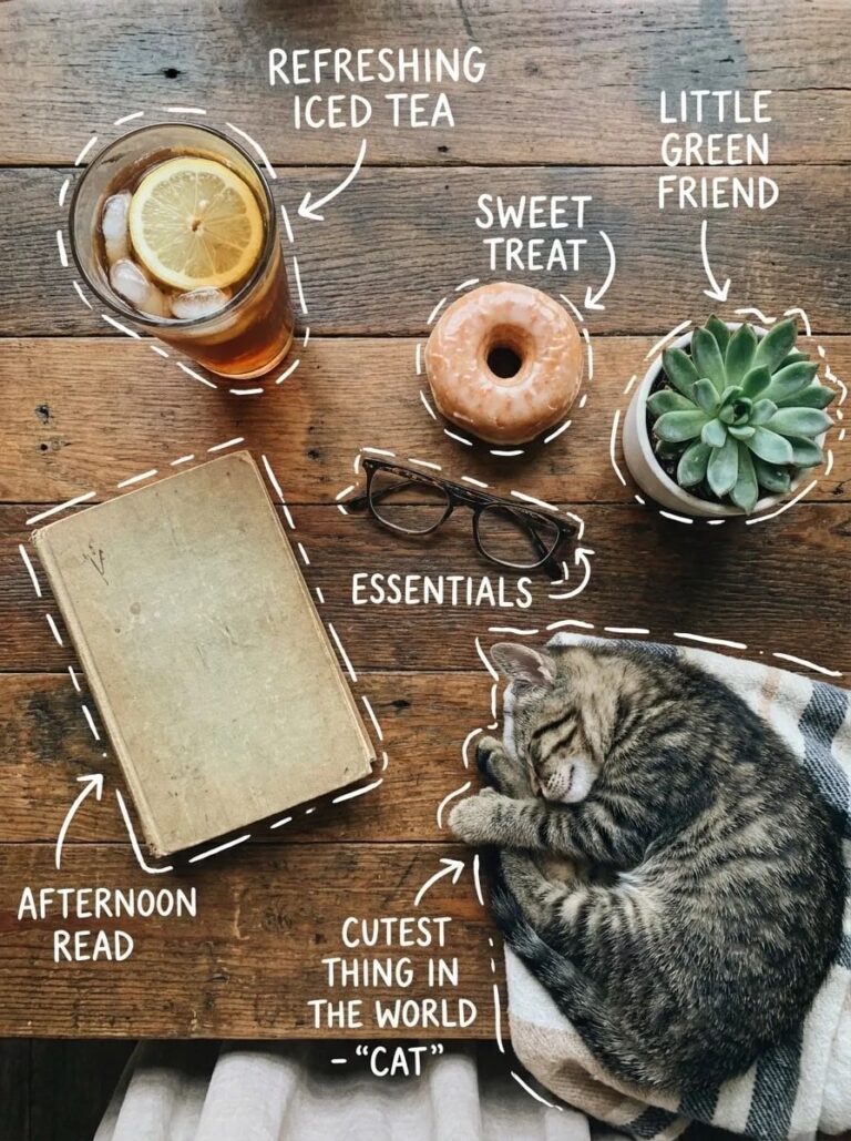 Промпт для фото: стильный flat lay с едой, книгой и котом
